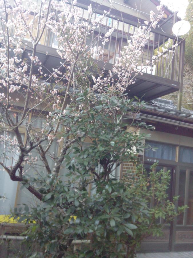raibrasil guest house Sanuki  Extérieur photo